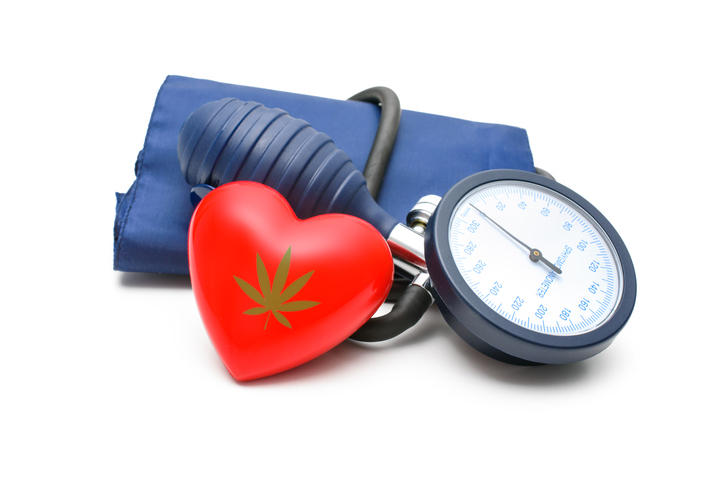 halo infusions blood pressure and cannabis