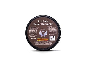 Chronic Health 1-1 Pain Relief Ointment 14 grams