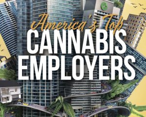 Best companies to work for in cannabis, Halo Infusions