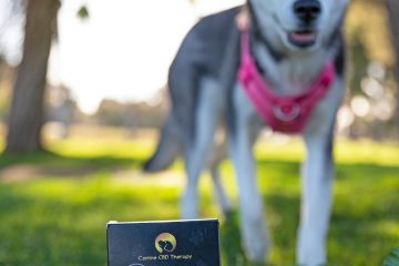 Hey Hooman, Happy Ruby Canine CBD Therapy Oil