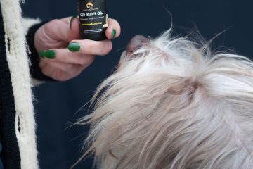 Sniffs, sniffs, sniffs, Poppet Canine CBD Therapy Relief Oil in hand