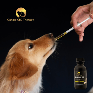 Natural Wellness and Comfort, Canine CBD Therapy Gift of Natural Wellness Halo Infusions