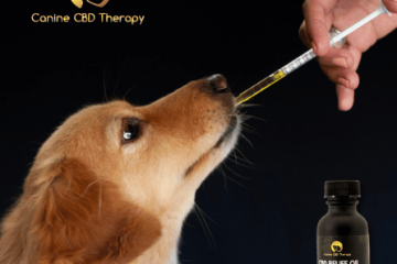 Natural Wellness and Comfort, Canine CBD Therapy Gift of Natural Wellness Halo Infusions