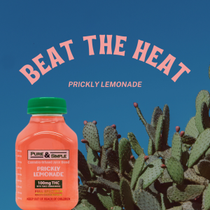 Summer's Secret Weapon Pure Simple Beat The Heat Halo Infusions