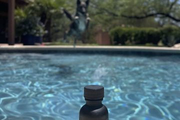 Canine-ball!! Canine CBD Therapy relief oil, pool side, Halo Infusions