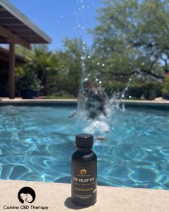 Canine-ball!! Canine CBD Therapy relief oil, pool side, Halo Infusions