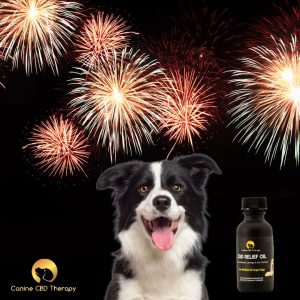 Woofer Happy Canine CBD Therapy 4th of July boy relief oil Halo Infusions