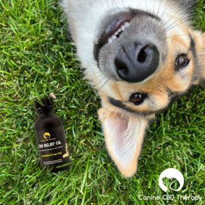 Woofers Plays Canine CBD Therapy grassy boy relief oil Halo Infusions