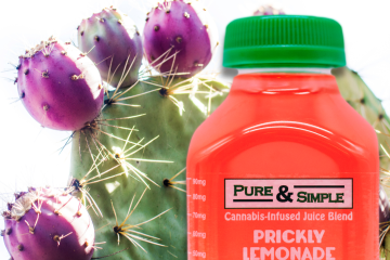 When Life Gives You Cacti, Pure Simple Prickly Lemonade cacti Halo Infusions