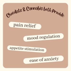 Did You Know, Canna Confections medicated chocolate education, Halo Infusions