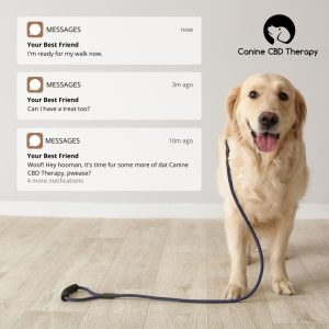 Woof ! Can I have some Canine CBD Therapy relief oil Halo Infusions