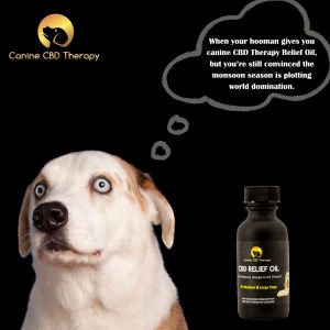 Don't Panic Canine CBD Therapy Relief oil funny vacuum meme Halo Infusions