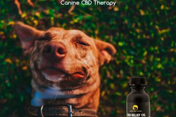 A Good Pup Canine CBD Therapy relaxed relief oil Halo infusions