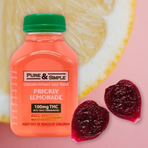 Prickly Season Pure Simple Prickly Lemonade Cactus 81523