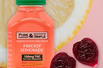 Prickly Season Pure Simple Prickly Lemonade Cactus 81523