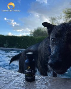 Poolside Service Canine CBD Therapy pool dog relief oil summer days Halo Infusions. tucson edibles