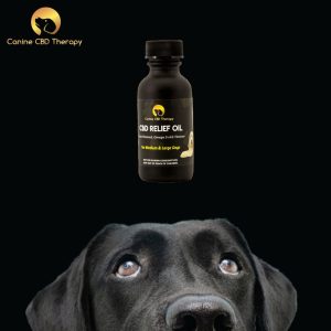 Ruff Day Canine CBD Therapy relief oil black lab Halo Infusions. tucson edibles