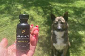 Sit, Stay, Calm, Good Boy Canine CBD Therapy relief oil dog sitting pretty green grass Halo Infusions
