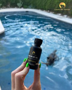 Swim Season Canine CBD Therapy last pool day silly pup in the pool relaxing with tuna relief oil Halo Infusions. cbd for dogs. tucson edibles