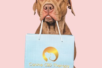 One Paw at a Time Canine CBD Therapy whats in the bag Halo Infusions. full spectrum. best cbd for dogs