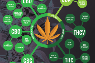 Cannabinoids Guide - Halo Infusions. Educational posters. Full Spectrum