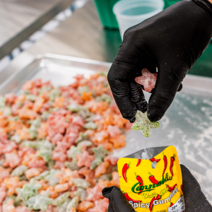 Step Behind the Scenes Cannabliss Spicy Gummies getting bagged - Halo Infusions. full spectrum. best edibles in arizona. tucson edibles