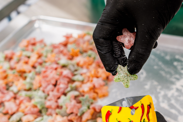 Step Behind the Scenes Cannabliss Spicy Gummies getting bagged - Halo Infusions. full spectrum. best edibles in arizona. tucson edibles