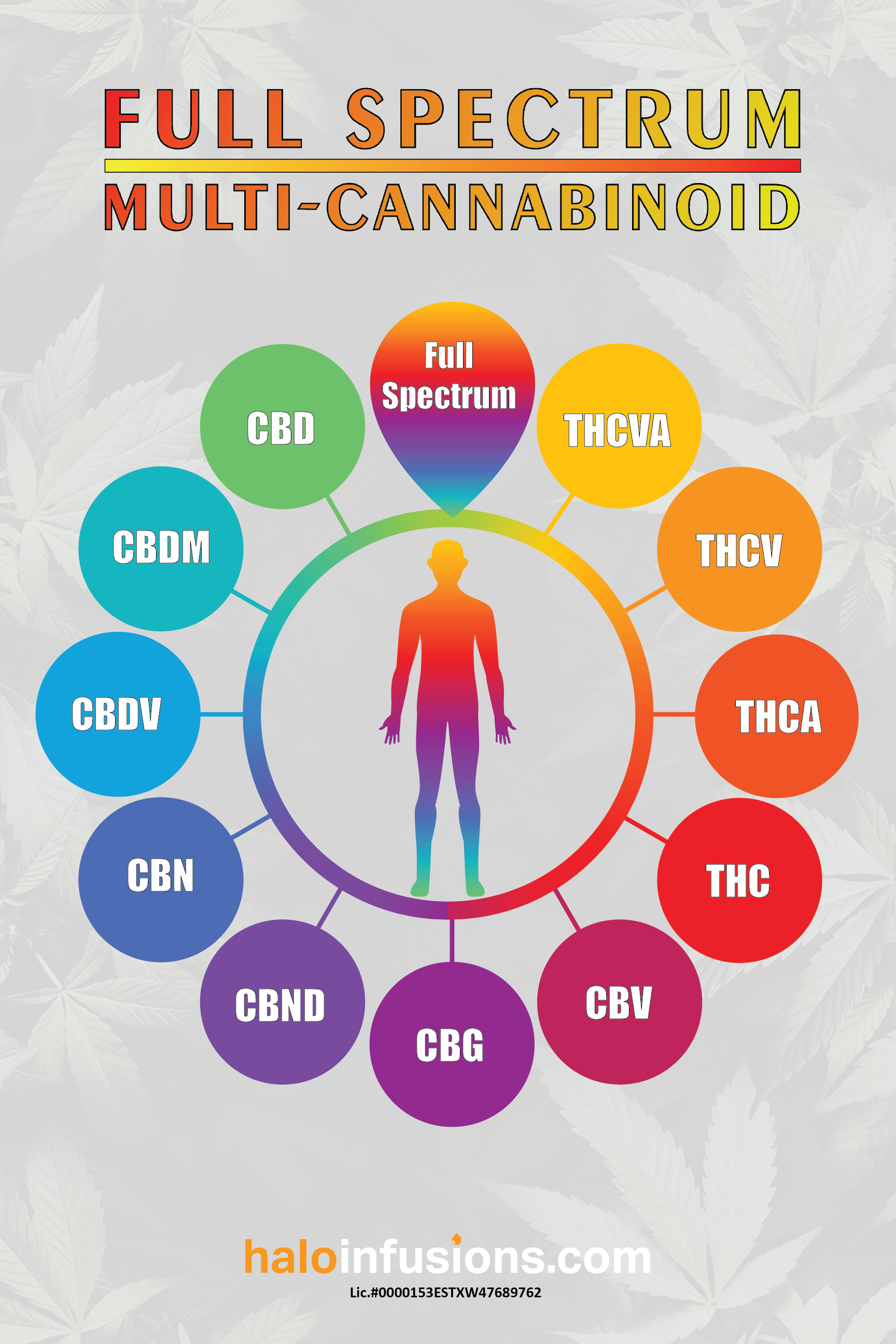Full Spectrum Poster - Halo Infusions. educational poster