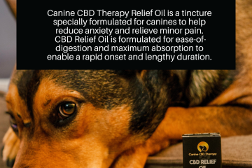 Canine CBD Therapy Relief Oil flyer 8.5x11 flyer. Halo Infusions. best cbd for dogs. cbd for dogs