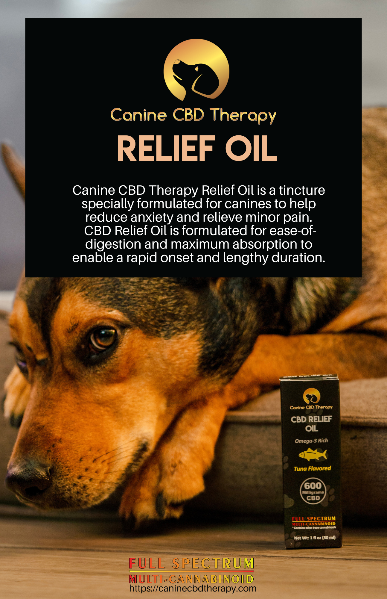 Canine CBD Therapy Relief Oil flyer 8.5x11 flyer. Halo Infusions. best cbd for dogs. cbd for dogs