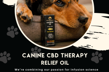 Canine CBD Therapy Relief Oil v2 flyer-2 8.5x11. halo infusions. educational flyer. full spectrum. cbd for dogs
