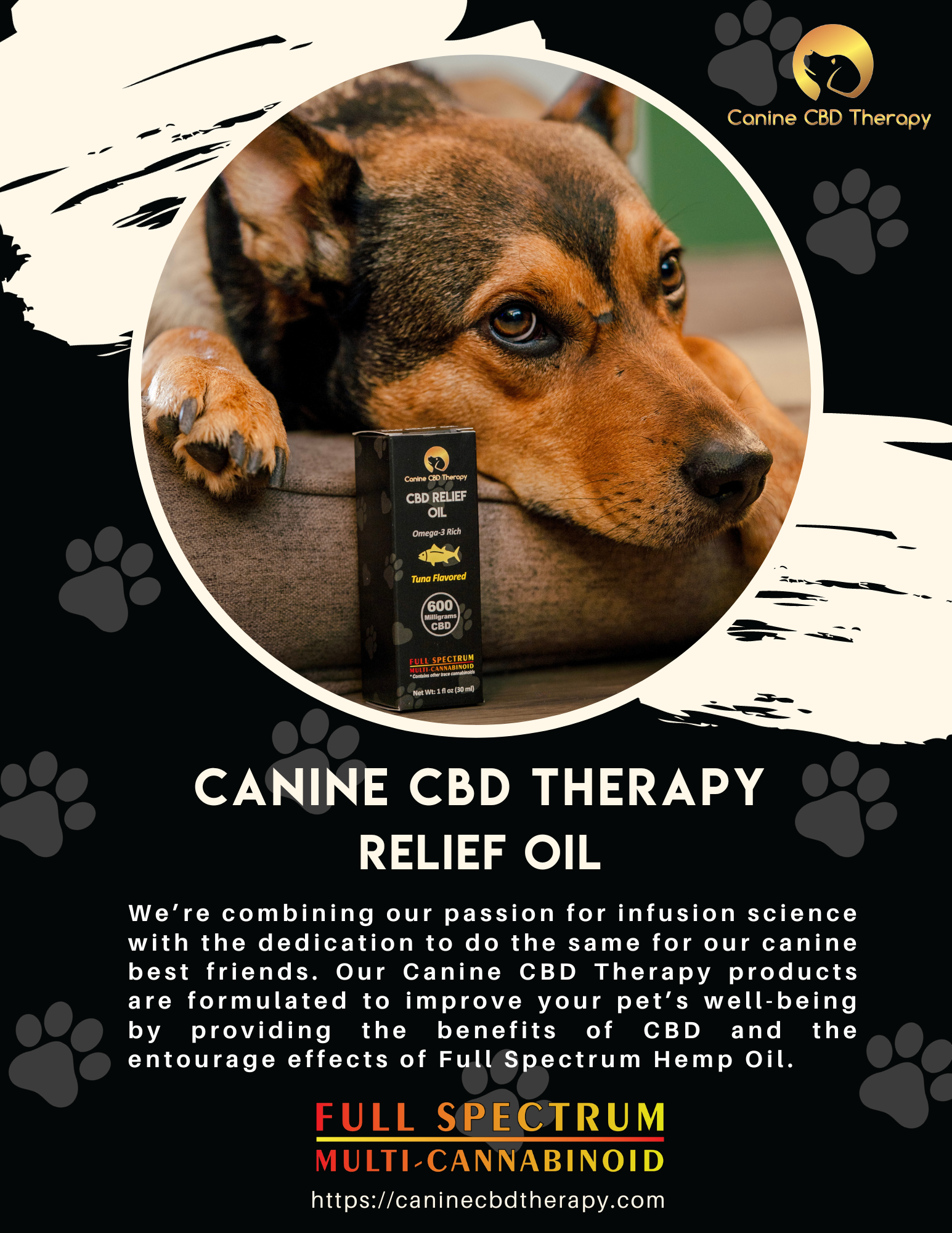 Canine CBD Therapy Relief Oil v2 flyer-2 8.5x11. halo infusions. educational flyer. full spectrum. cbd for dogs