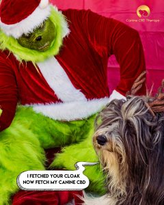 Holly Jolly Christmas Canine CBD Therapy grinch and dog Merry Christmas. Halo Infusions. cbd for dogs