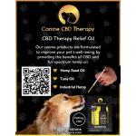 Canine CBD Therapy Social Media Flyer