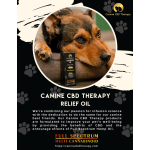 Canine CBD Therapy 8.5x11 Flyer