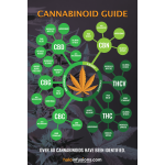 Cannabinoid Guide Poster
