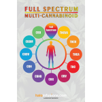 Full Spectrum Poster